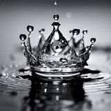 kingphenomenon